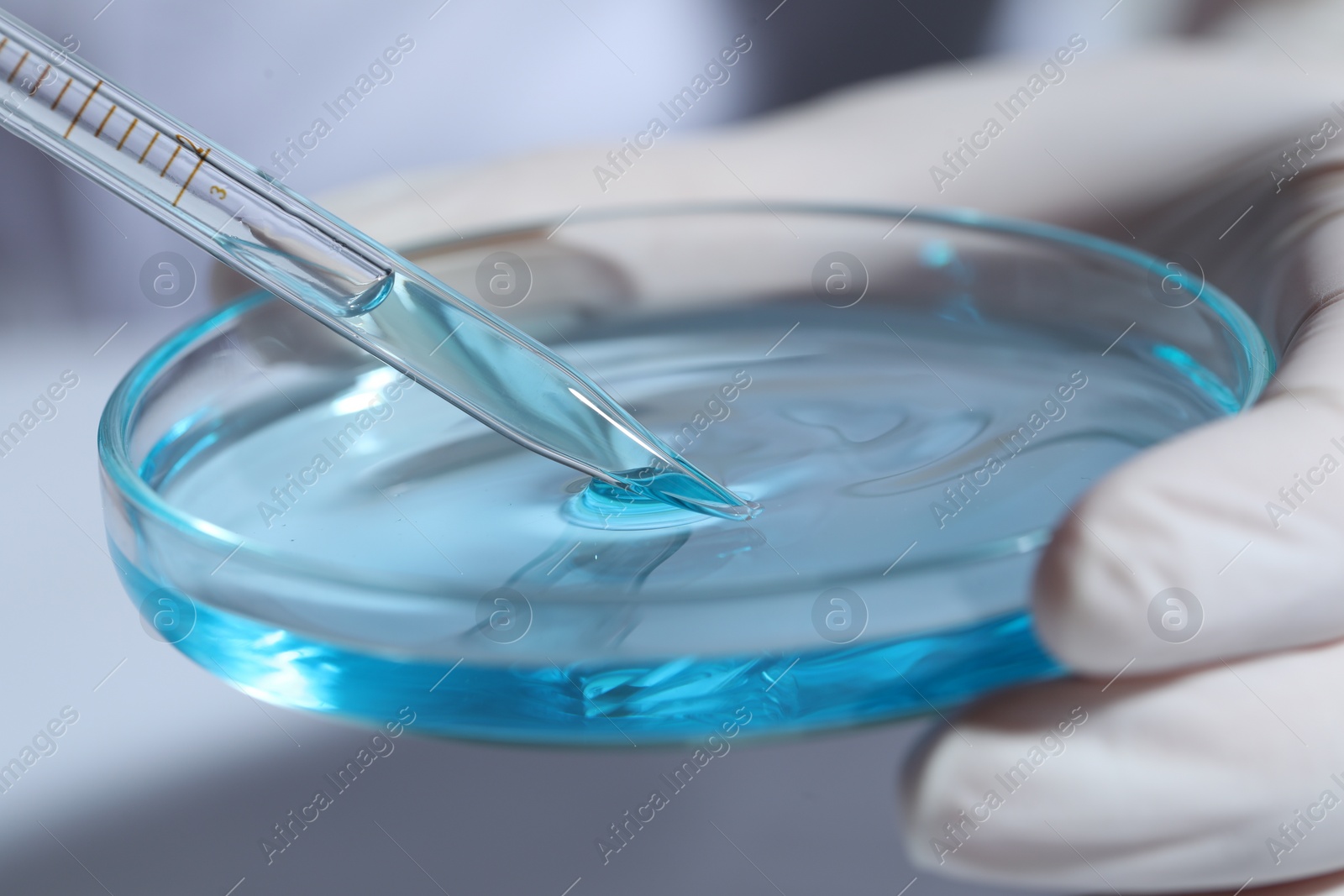 Photo of Scientist dripping liquid from pipette into petri dish at white table, closeup