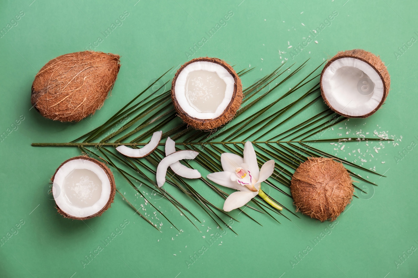 Photo of Composition with coconut water and fresh nuts on color background