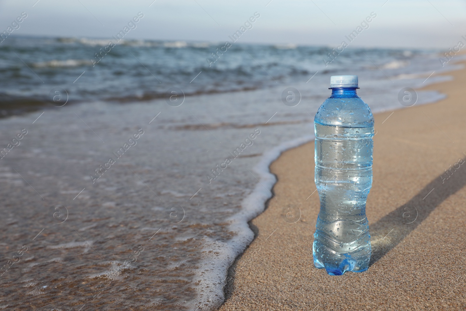 Photo of Plastic bottle of fresh water on wet sand near sea. Space for text