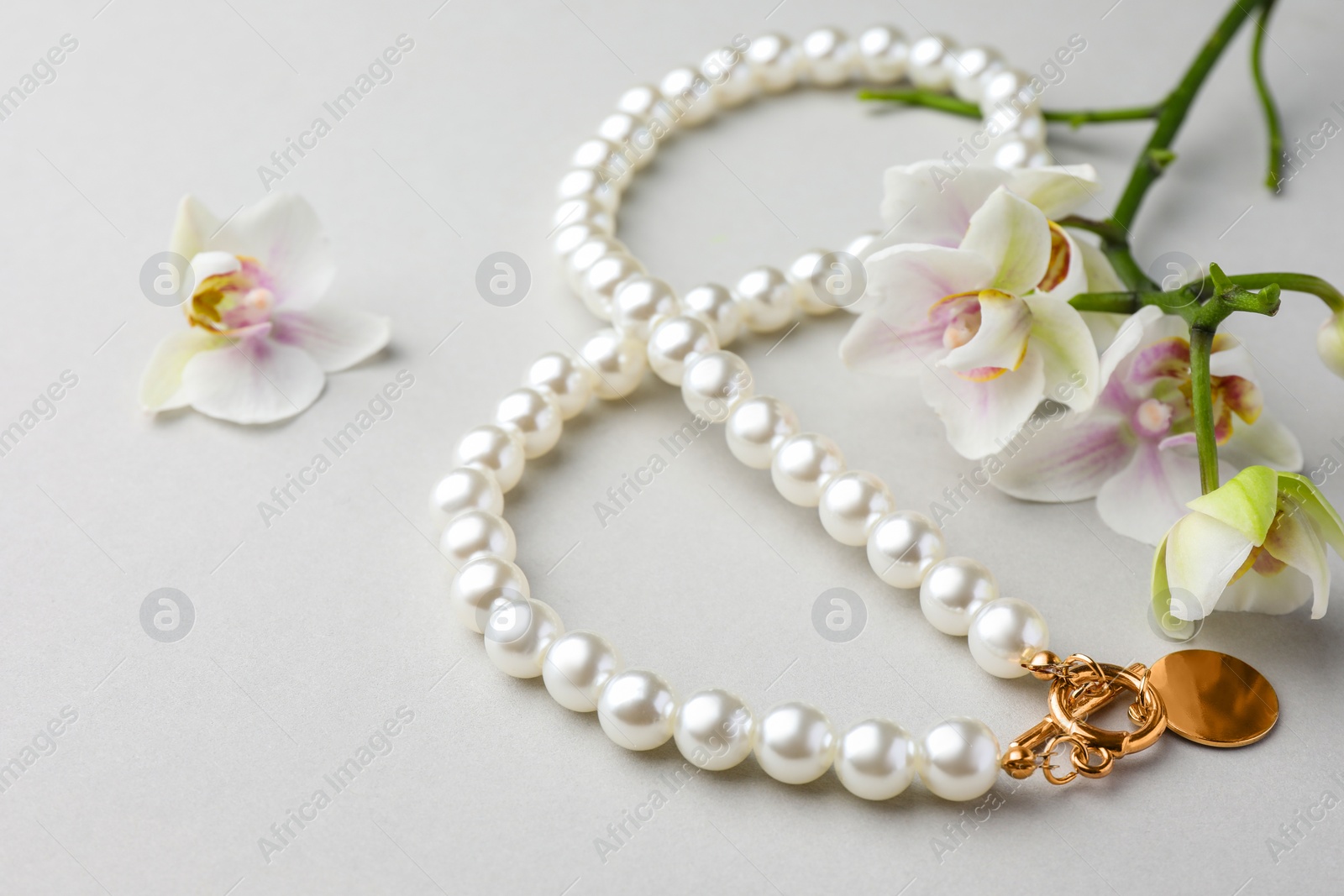 Photo of Elegant pearl necklace and orchid flowers on white background, closeup