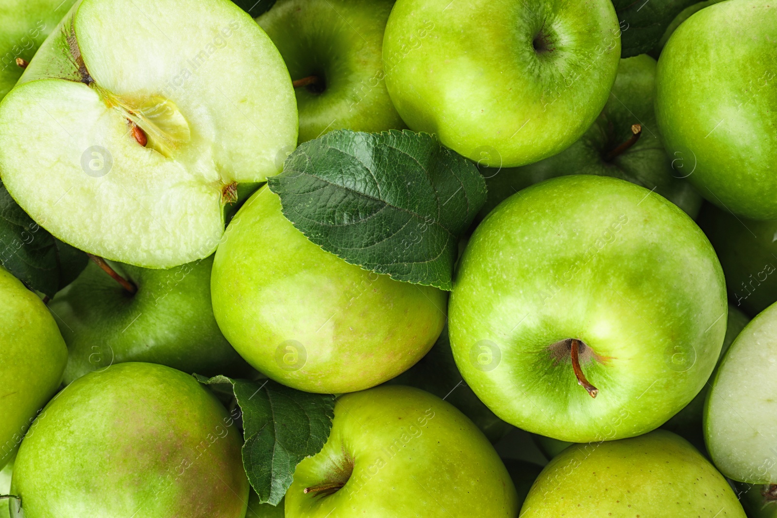 Photo of Many ripe juicy green apples as background