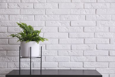 Photo of Beautiful fresh potted fern on black table near white brick wall. Space for text