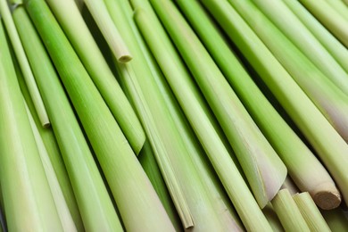 Fresh aromatic lemongrass as background, closeup view