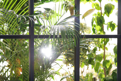 Photo of Beautiful view through window on garden in morning