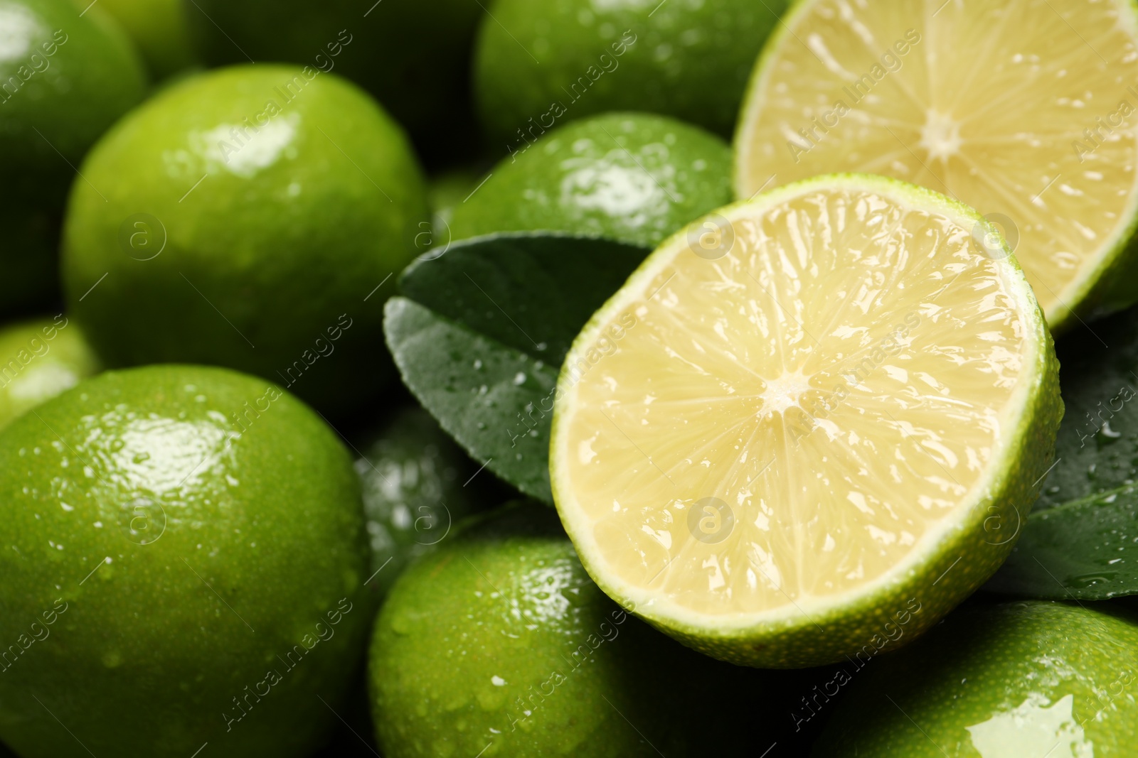 Photo of Fresh limes and leaves with water drops as background, closeup