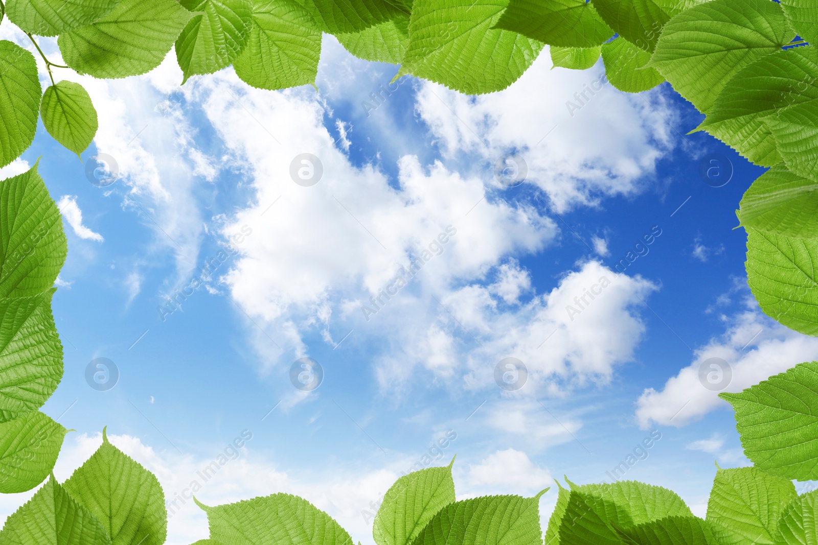 Image of Beautiful blue sky with clouds, view through vibrant green leaves