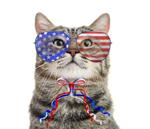 Image of Cute cat with sunglasses and bow on white background. Concept of federal holidays in USA