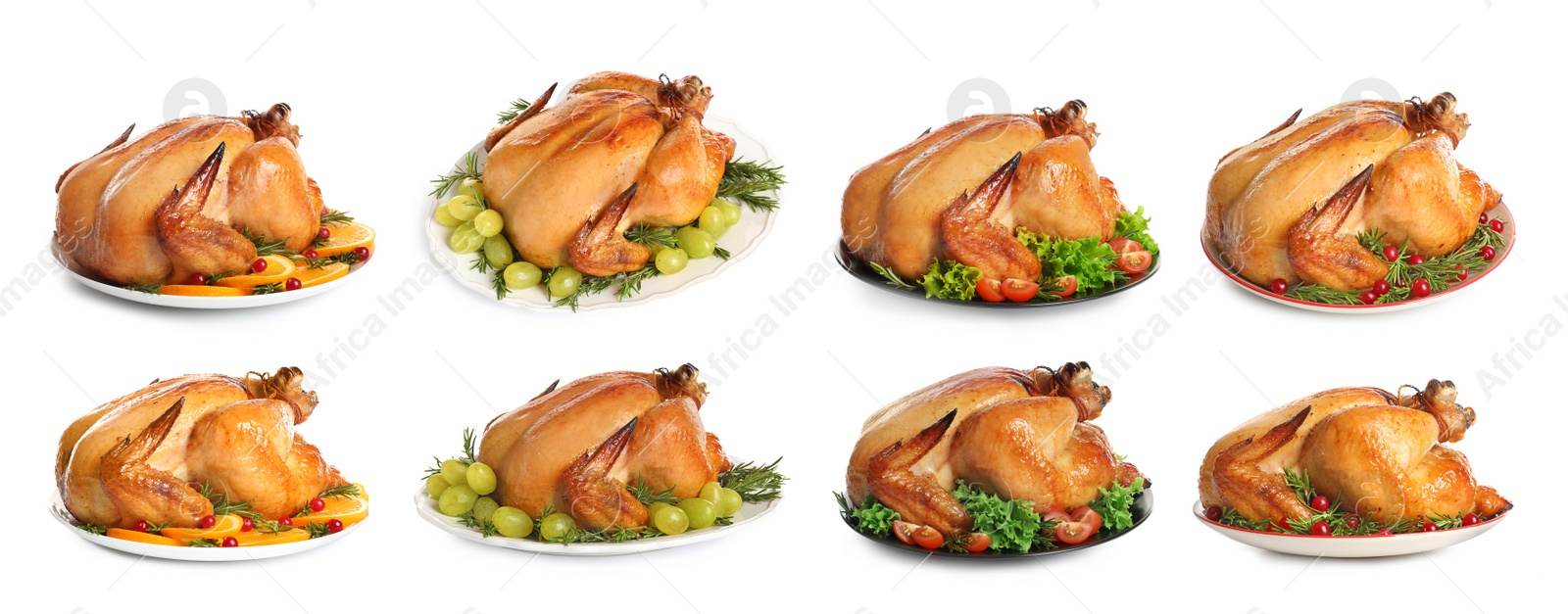 Collection of cooked turkey with different garnishes on white background. Banner design Image of Collection of cooked turkey with different garnishes on white background. Banner design