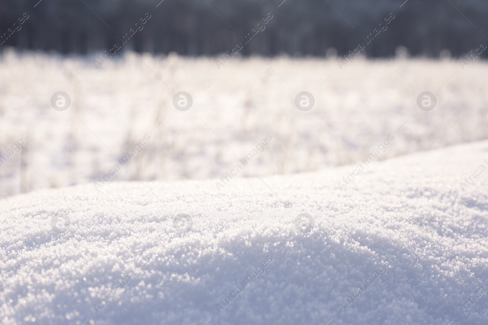 Photo of Beautiful snow on sunny day in winter