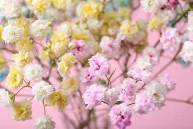 Photo of Beautiful dyed gypsophila flowers on pink background, closeup