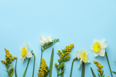 Photo of Flat lay composition with spring flowers on light blue background. Space for text