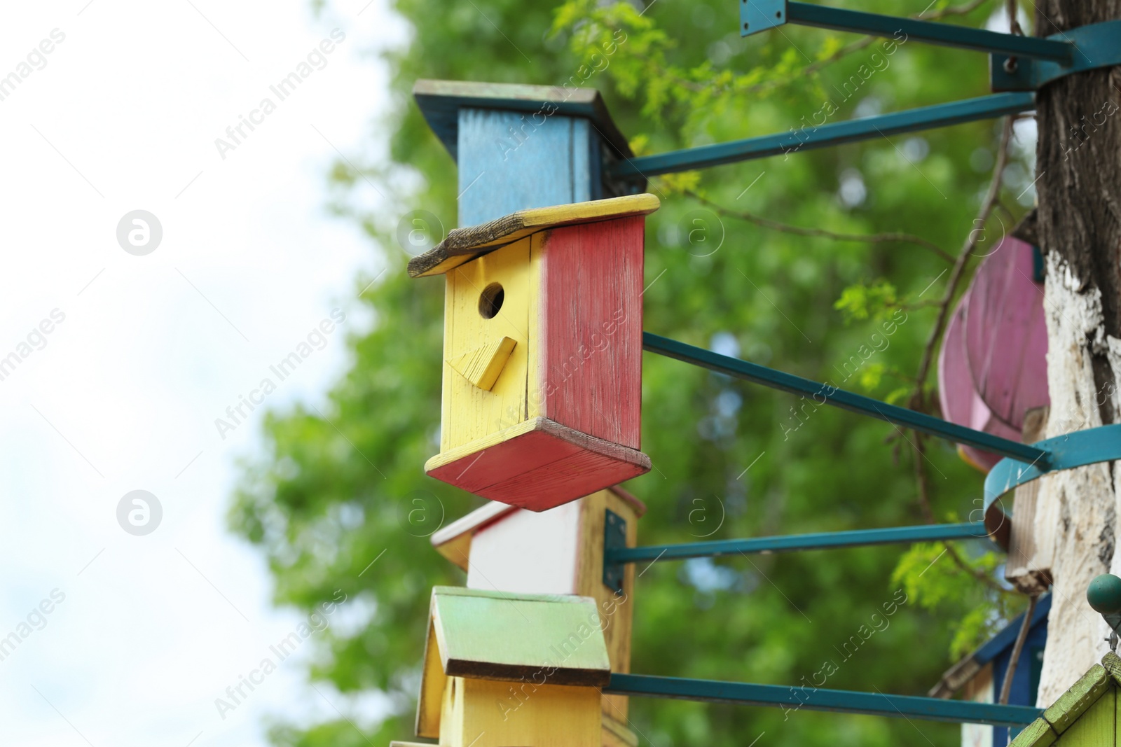 Photo of Lots of colorful wooden bird houses on tree outdoors