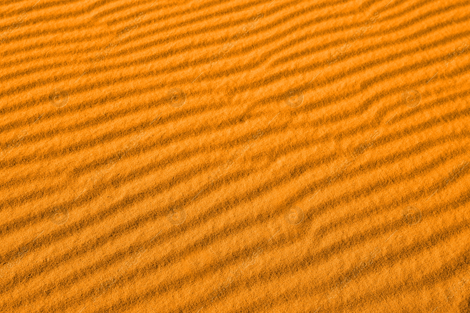 Image of Closeup view of orange sand dune in desert as background