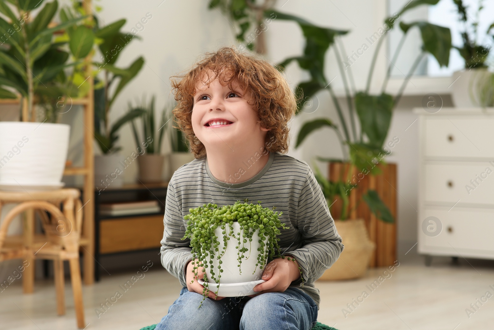 Photo of Cute little boy holding beautiful green plant at home. House decor