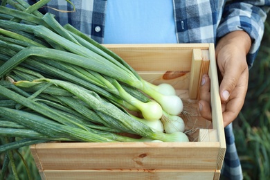 Photo of Man holding wooden crate with fresh green onions outdoors, closeup