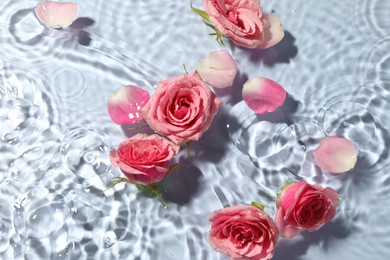 Beautiful roses and petals in water on light blue background, top view