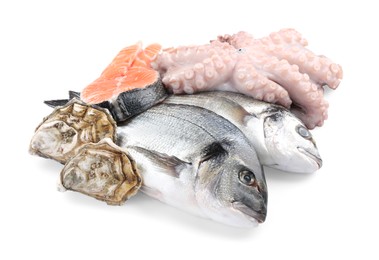 Photo of Fresh dorado fish, octopus, oysters and salmon on white background