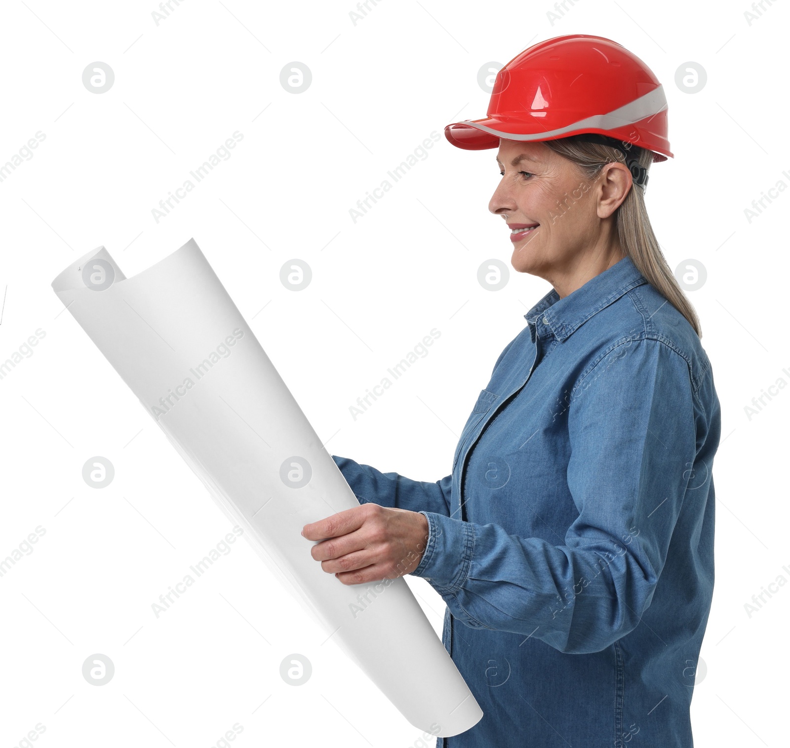 Photo of Architect in hard hat with draft on white background