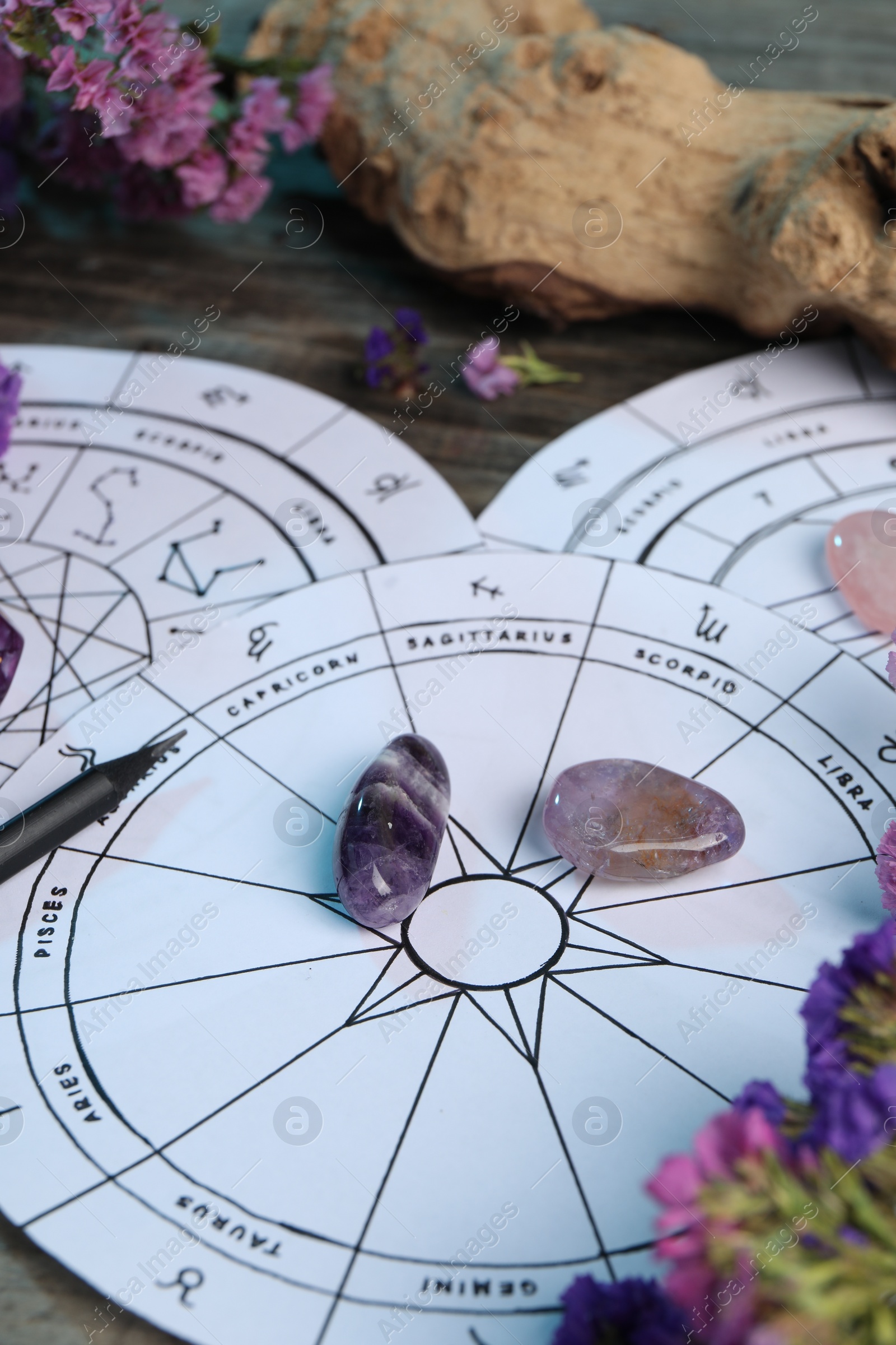 Photo of Astrology prediction. Zodiac wheels, flowers and gemstones on wooden table, closeup