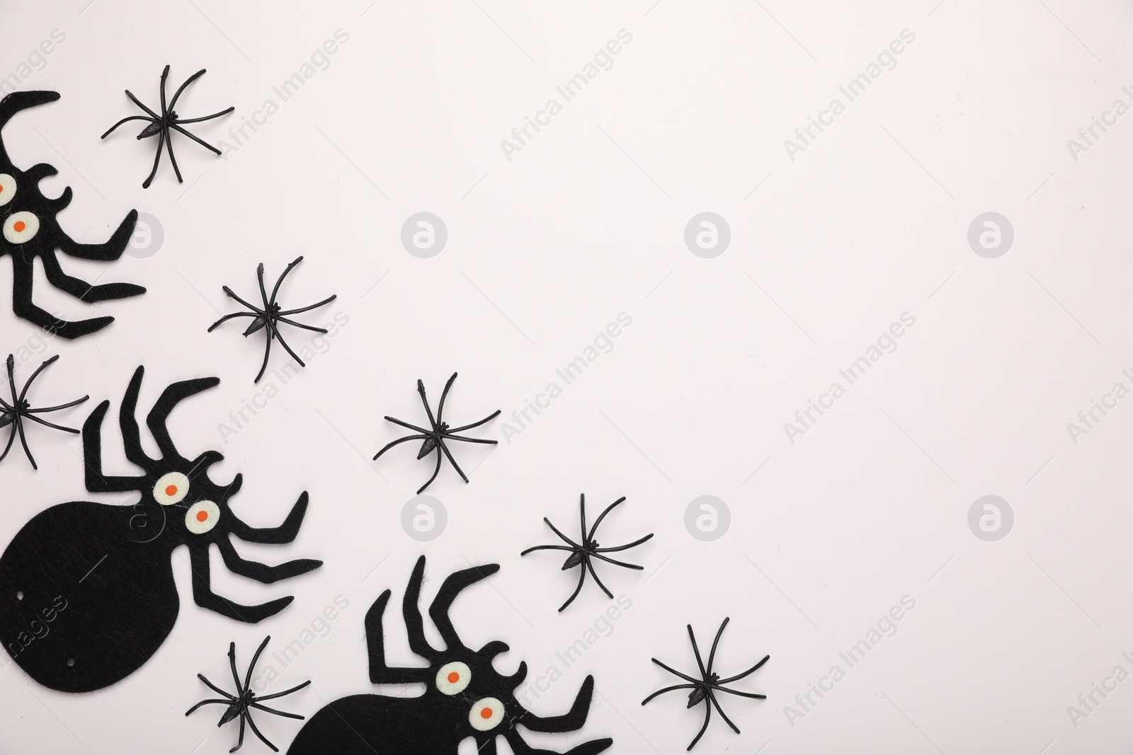 Photo of Many different spiders on white background, flat lay and space for text. Halloween celebration
