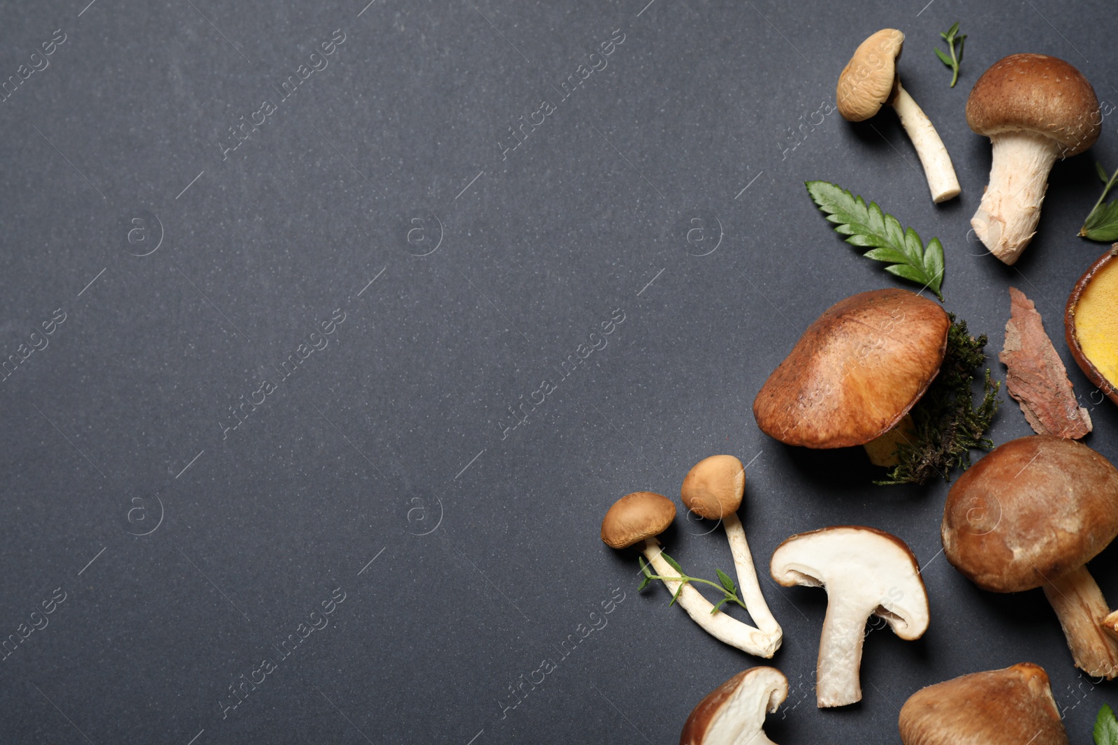 Photo of Flat lay composition with different mushrooms on grey background, space for text