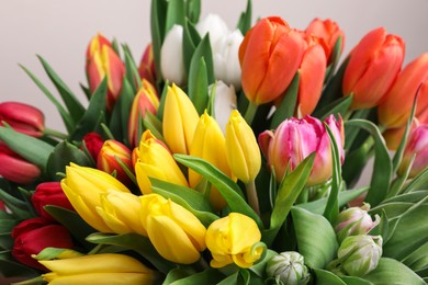 Photo of Beautiful colorful tulip flowers on grey background, closeup