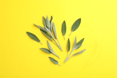 Fresh green sage leaves on yellow background, flat lay