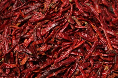 Pile of spicy dried red chiles as background, top view