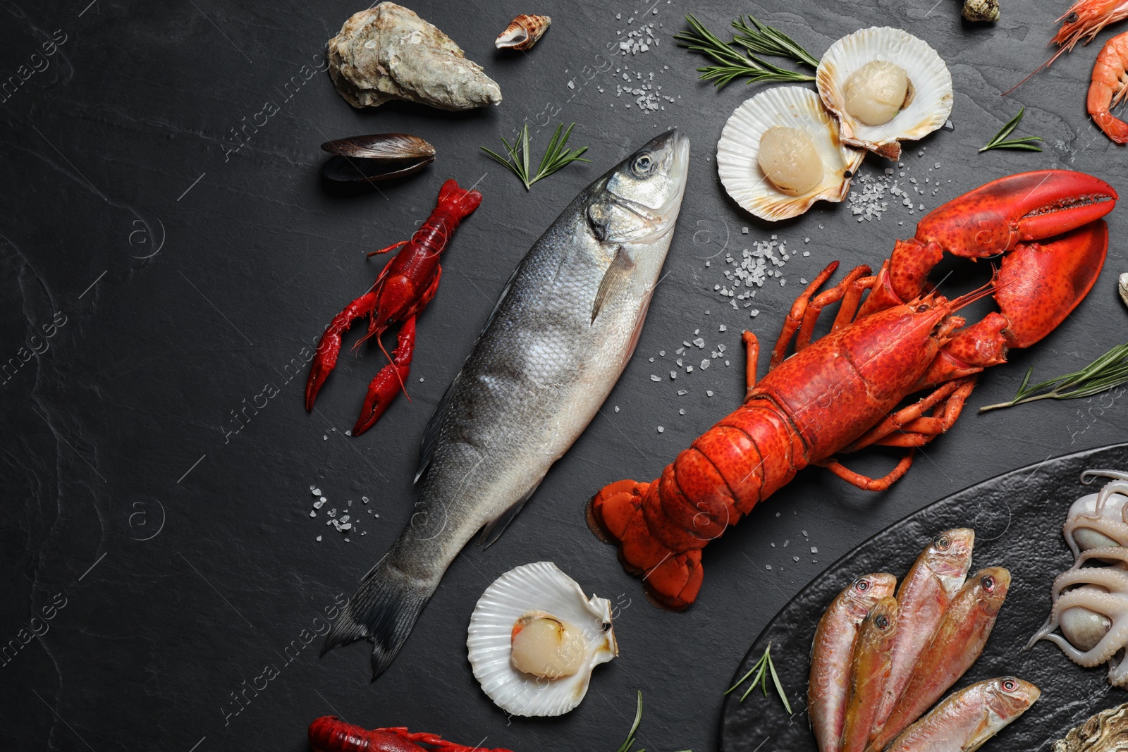 Photo of Fresh fish and different seafood on black table, flat lay