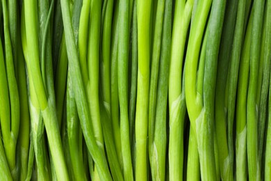 Photo of Fresh green spring onions as background, top view