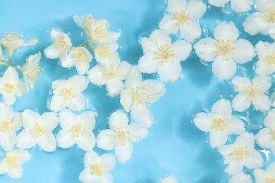 Photo of Beautiful jasmine flowers in water on light blue background, top view