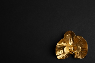 Photo of Gold decorative orchid flower on black background, top view. Space for text