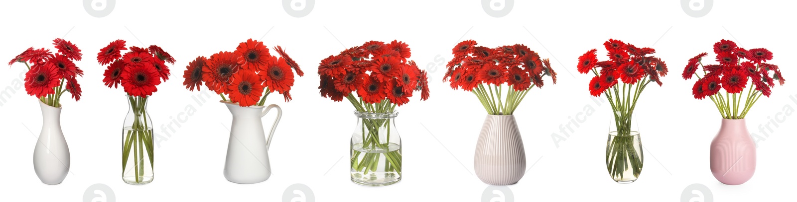 Image of Collage of stylish vases with beautiful gerbera bouquets on white background