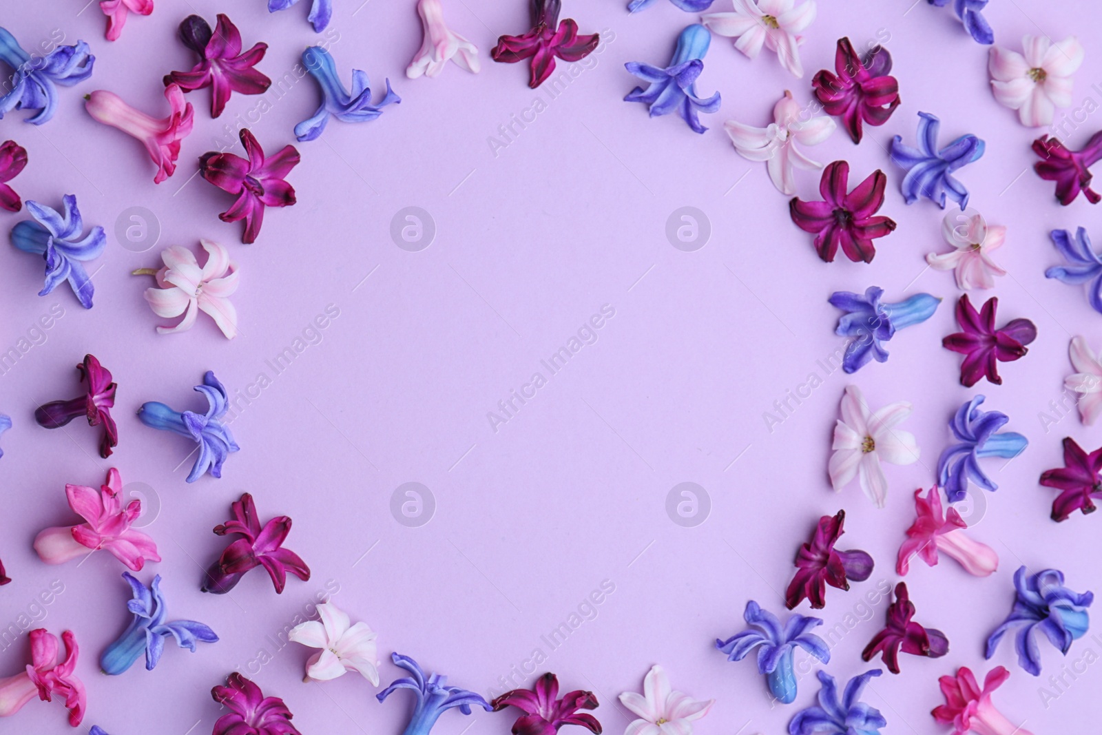 Photo of Frame made of blooming spring hyacinth flowers on color background, top view. Space for text