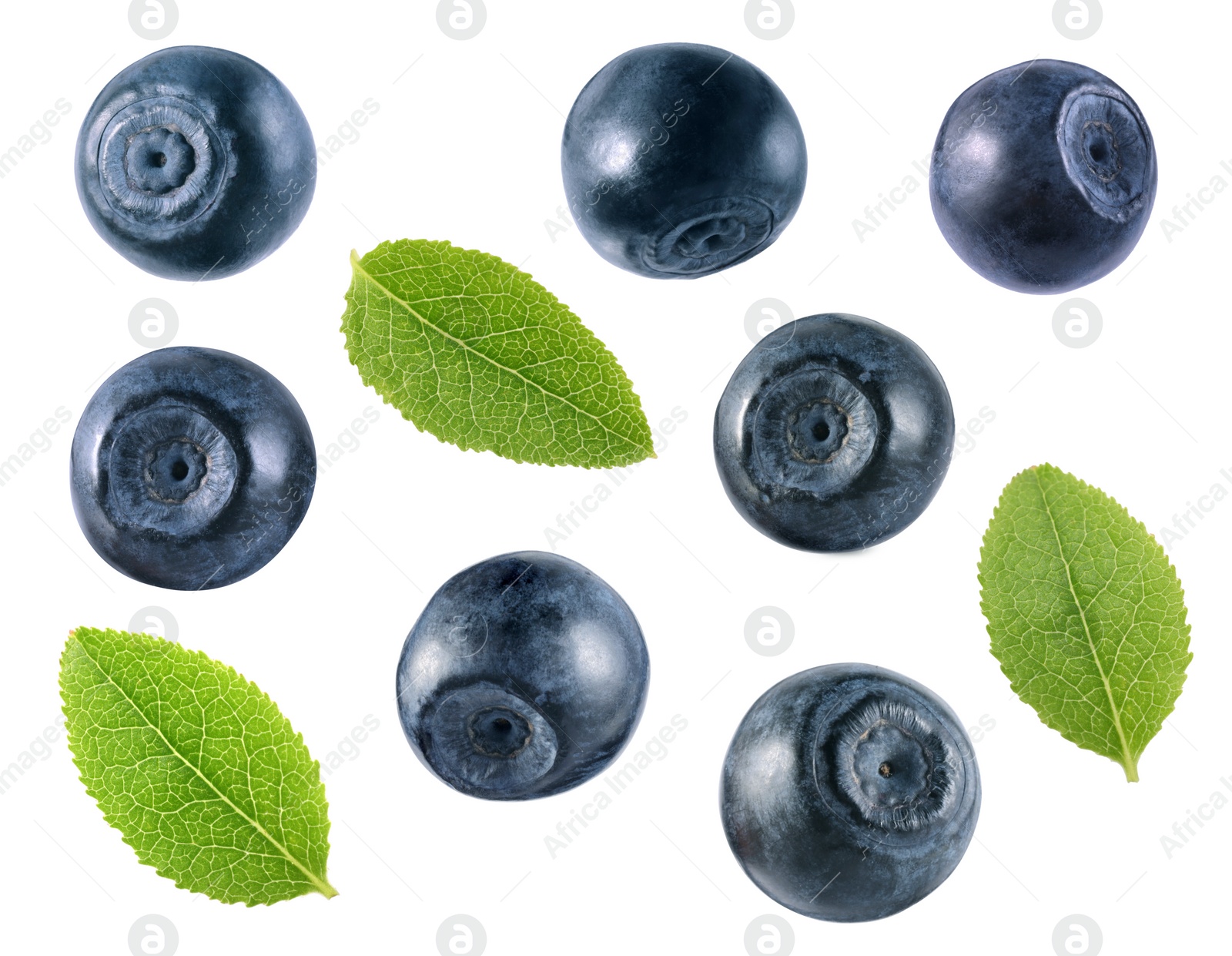 Image of Set with fresh ripe bilberries and green leaves isolated on white