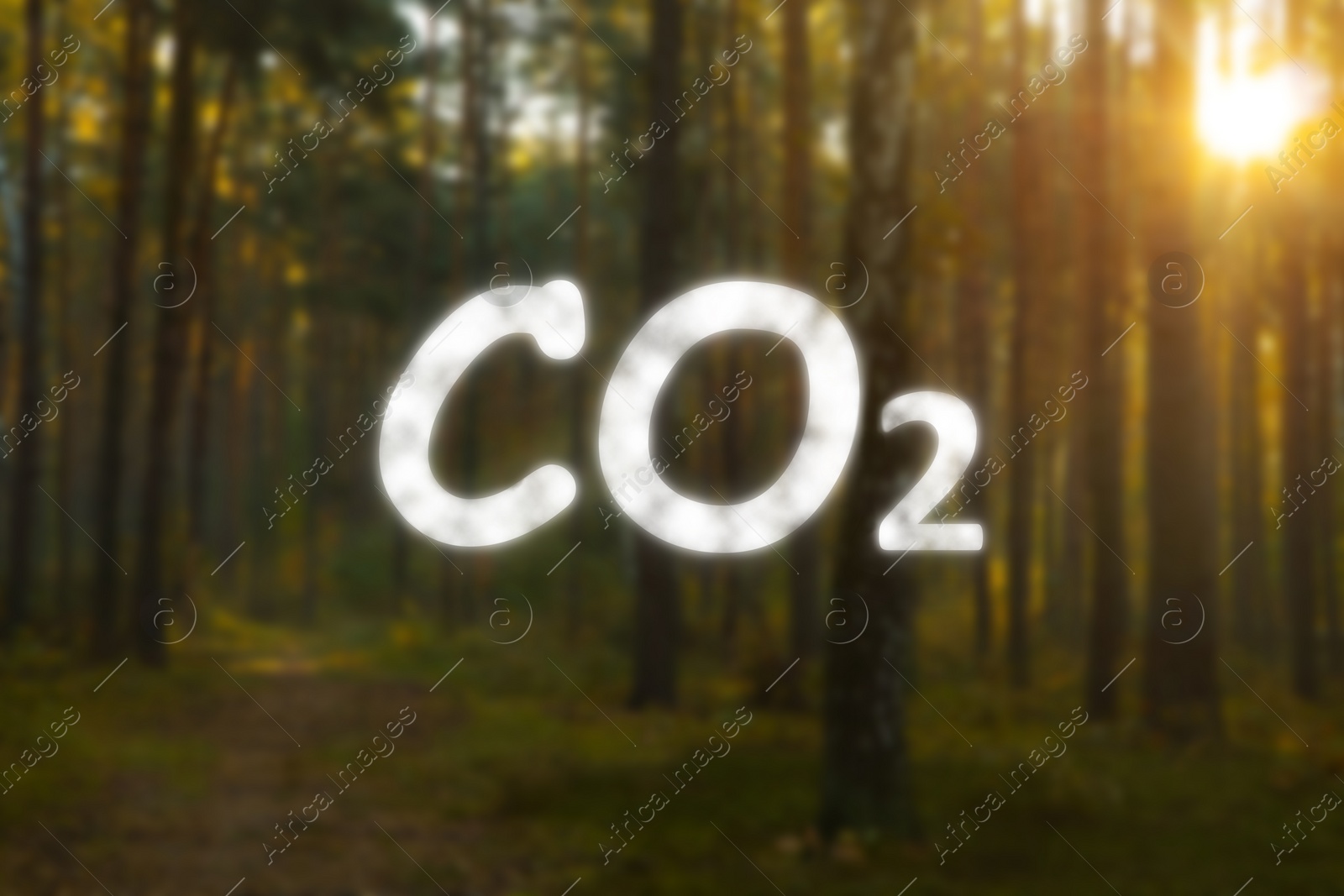 Image of Concept of clear air. CO2 inscription and beautiful forest