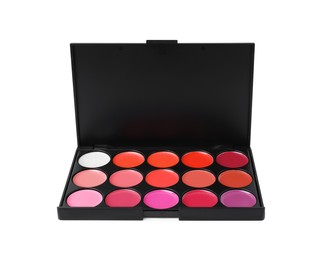 Photo of Colorful lip palette isolated on white. Professional cosmetic product