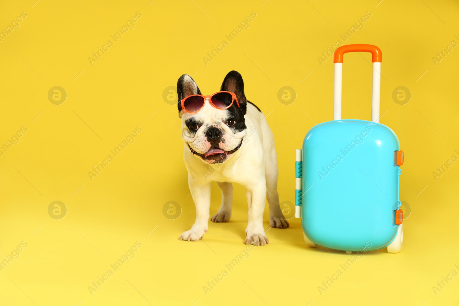 Photo of French bulldog with sunglasses and little suitcase on yellow background. Space for text