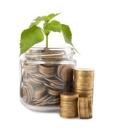 Photo of Jar, coins and green plant on white background. Investment concept