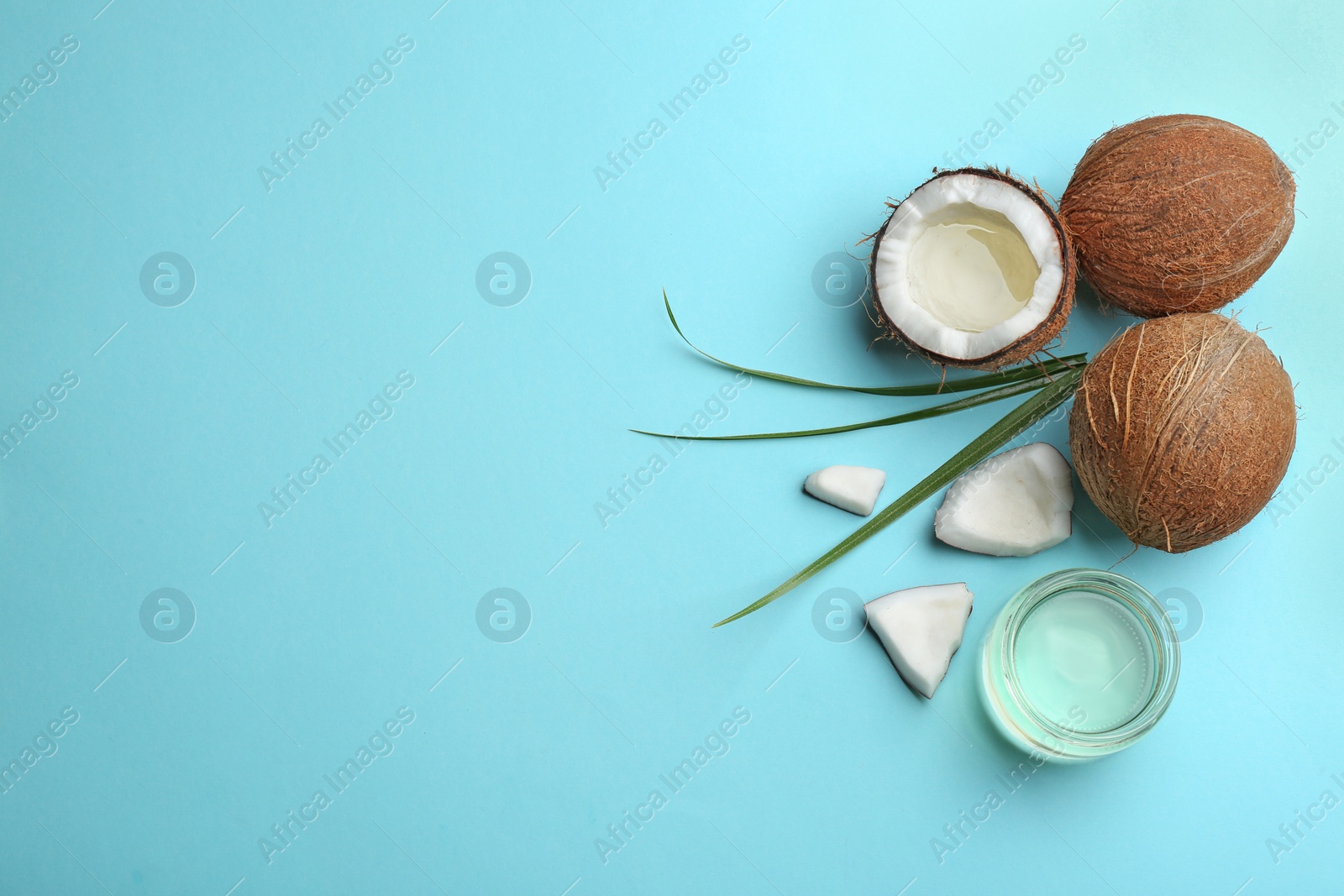 Photo of Flat lay composition with ripe coconuts, natural organic oil and space for text on blue background