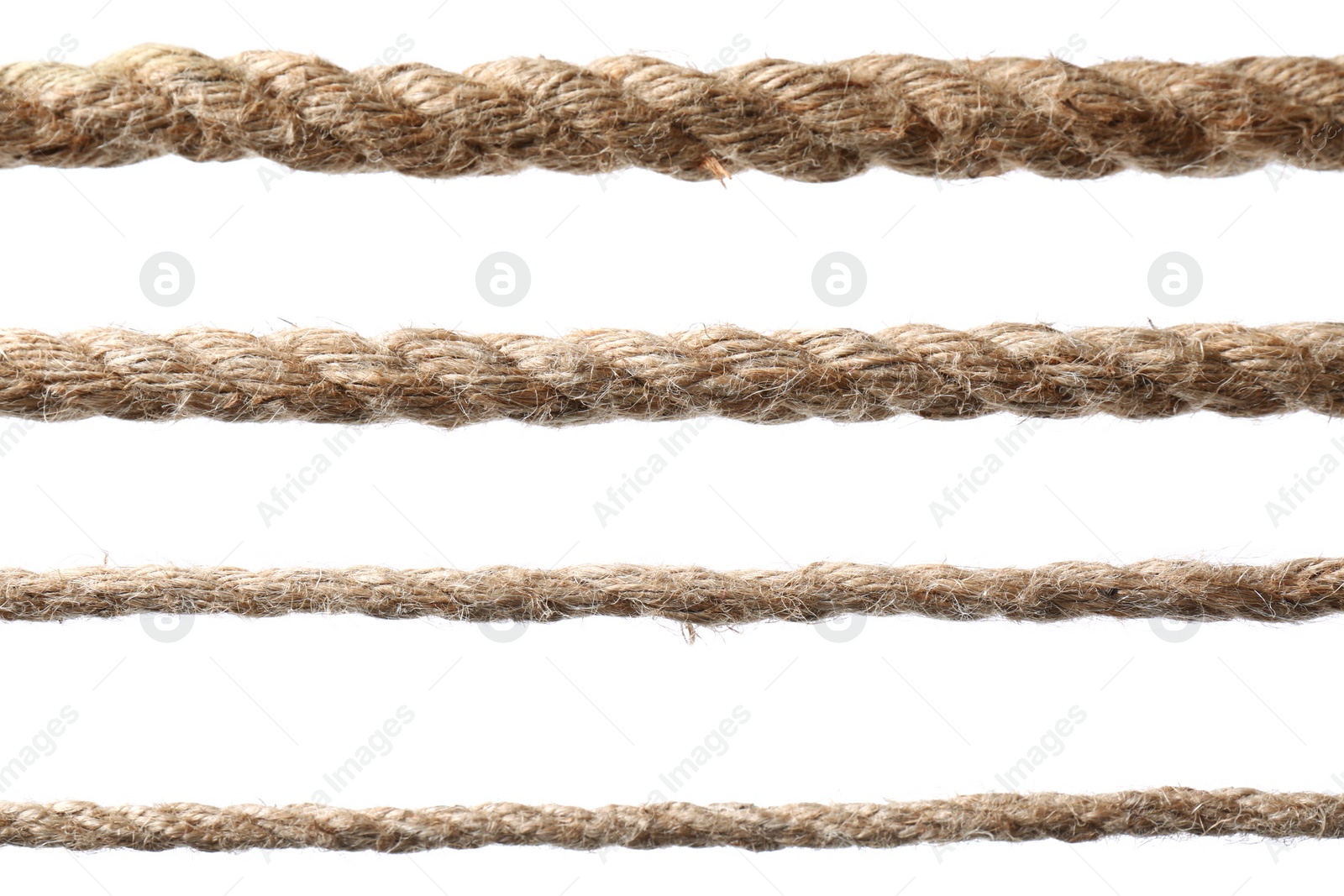 Photo of Set of hemp ropes on white background