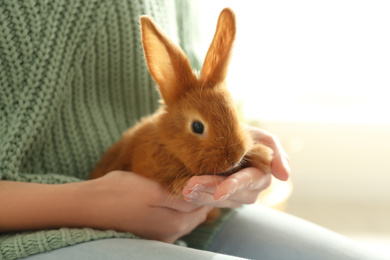 Photo of Young woman with adorable rabbit indoors, closeup. Lovely pet