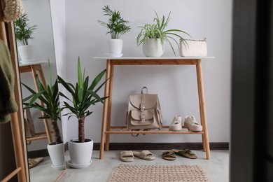 Wooden table with shoes, accessories and houseplants near white wall in hallway