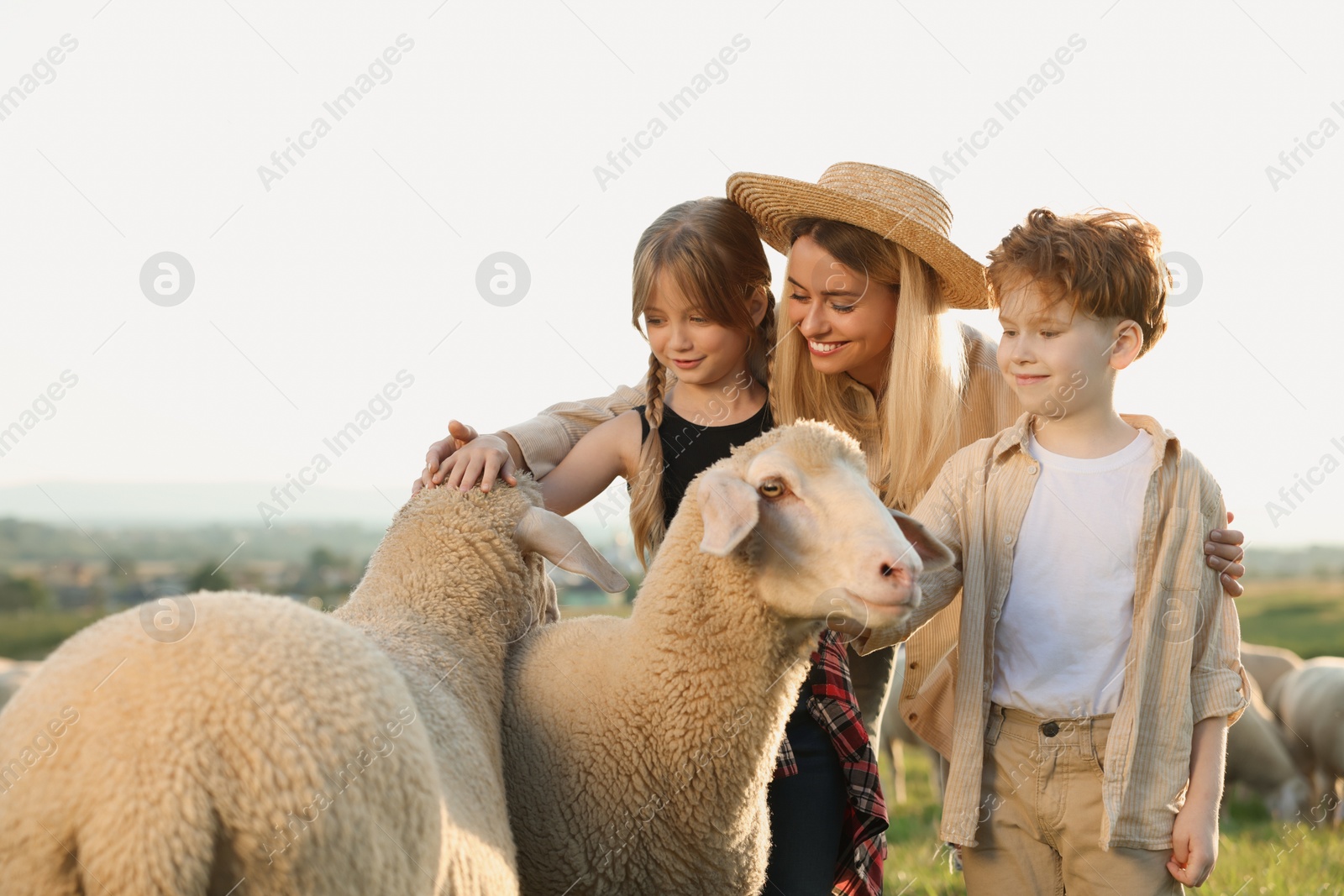 Photo of Mother and children stroking sheep on pasture. Farm animals