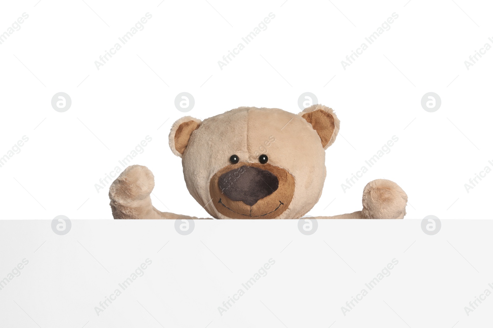 Photo of Cute teddy bear with blank card on white background