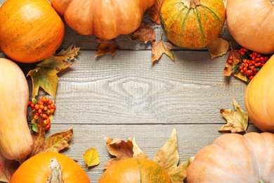 Flat lay composition with different ripe pumpkins on wooden background, space for text. Holiday decoration