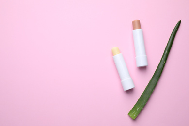 Photo of Hygienic lipsticks and aloe vera on pink background, flat lay. Space for text