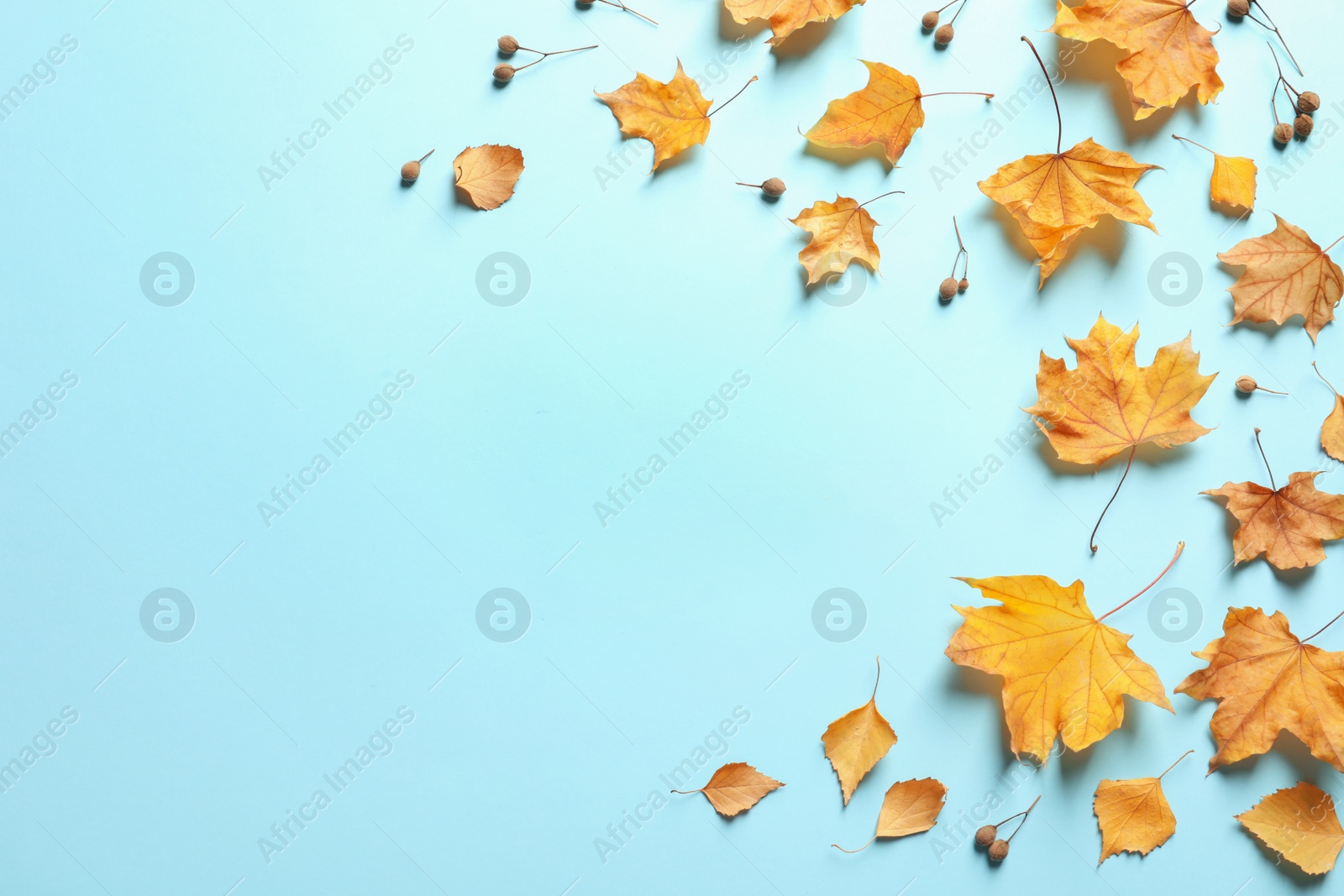 Photo of Flat lay composition with autumn leaves and space for text on color background