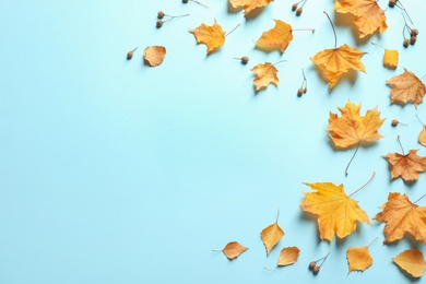 Photo of Flat lay composition with autumn leaves and space for text on color background