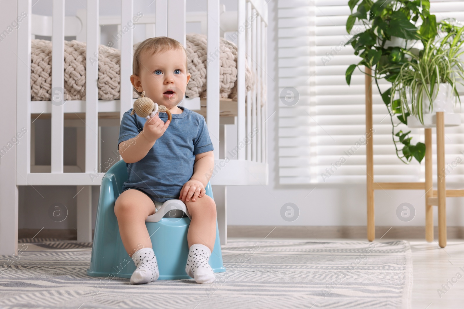 Photo of Little child sitting on plastic baby potty indoors. Space for text